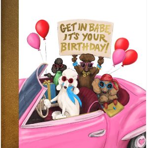 Get in Birthday Babe Birthday Card