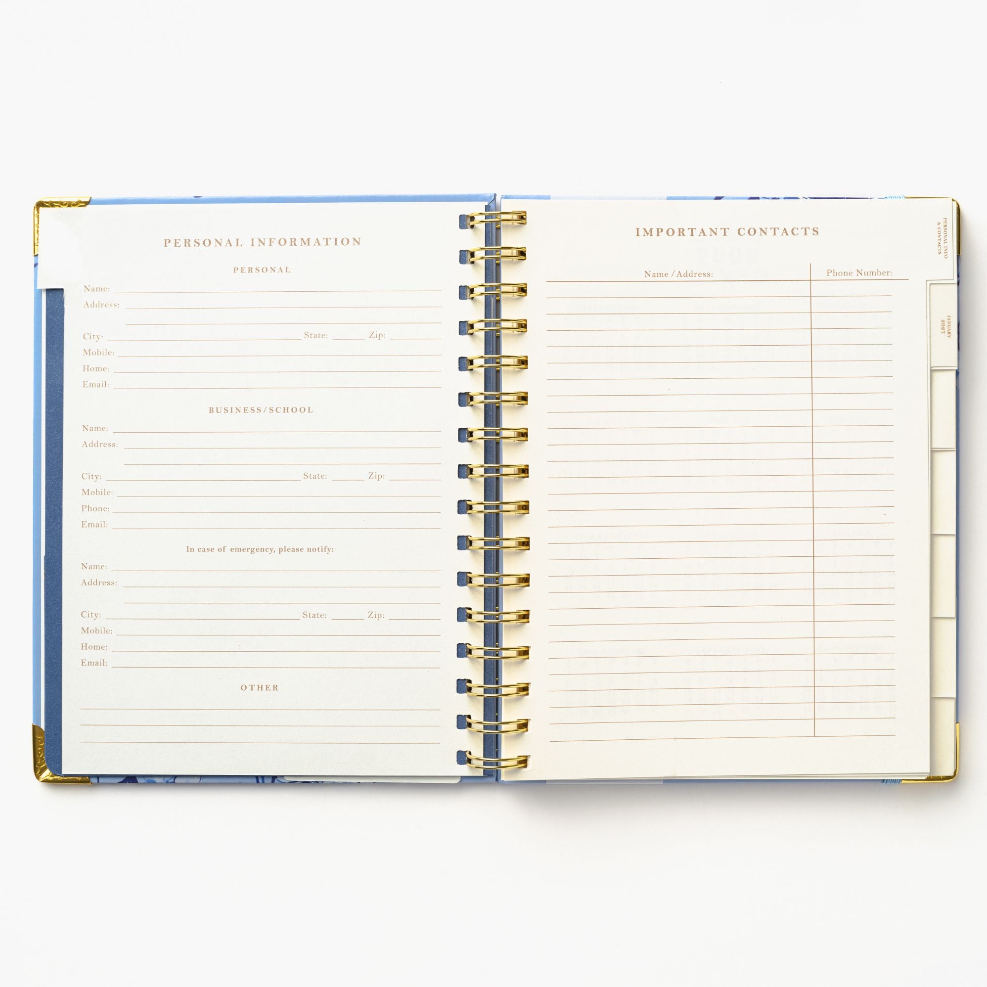 2027 Blue Toile Bird 12-Month Weekly Medium Spiral Planner - Image 3