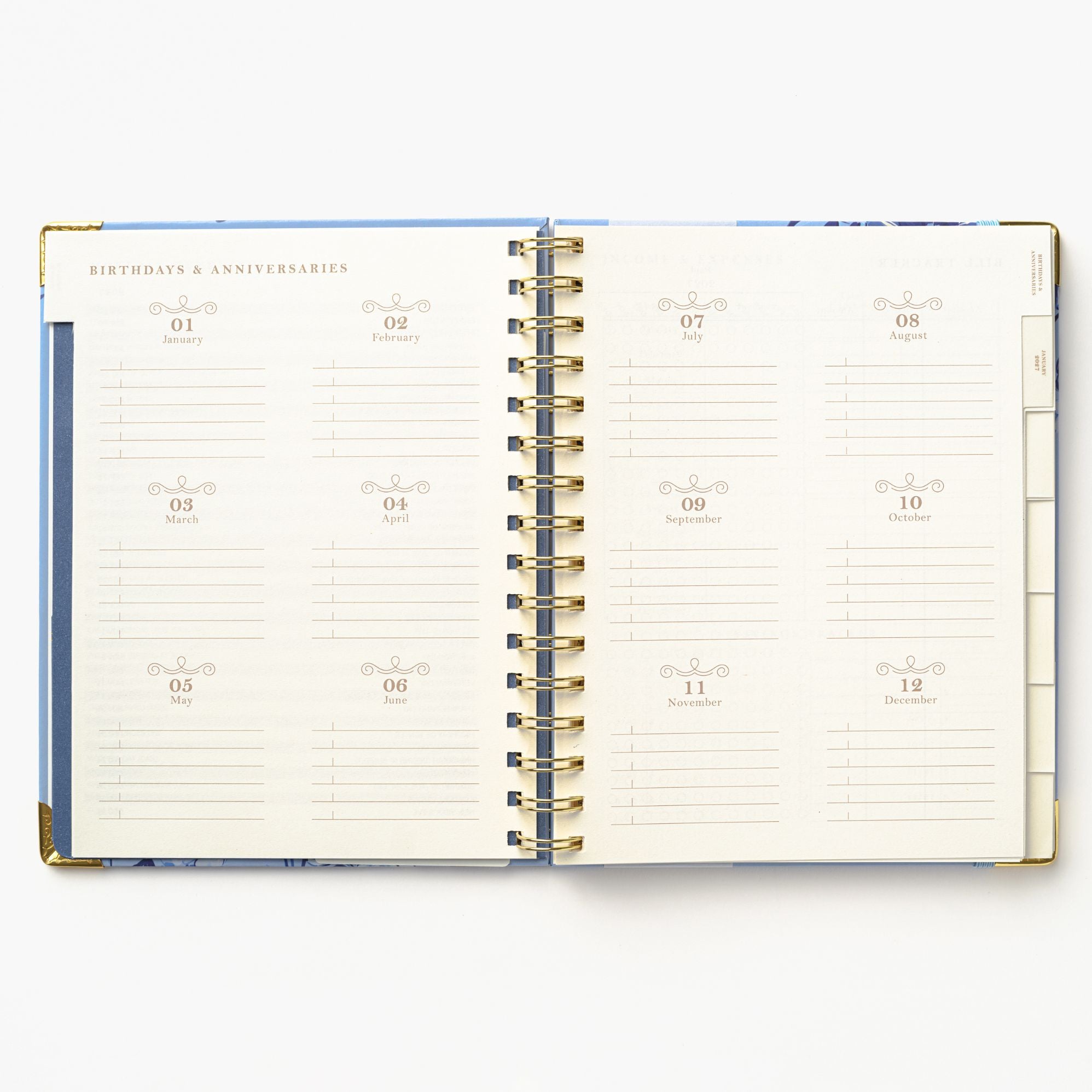 2027 Blue Toile Bird 12-Month Weekly Medium Spiral Planner - Image 6