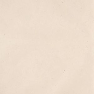 Lokta Natural Handmade Paper
