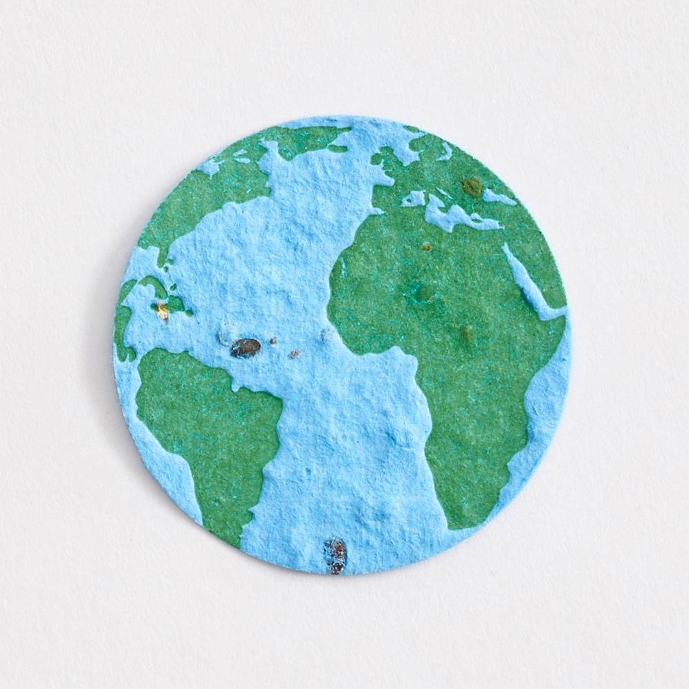 Plantable Globes - Image 2