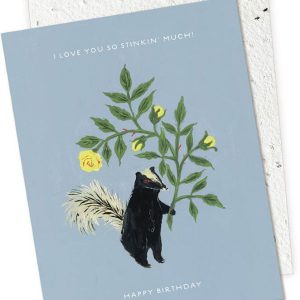 Stinker Birthday Card