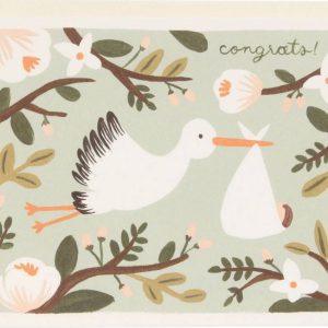 Stork Baby Card