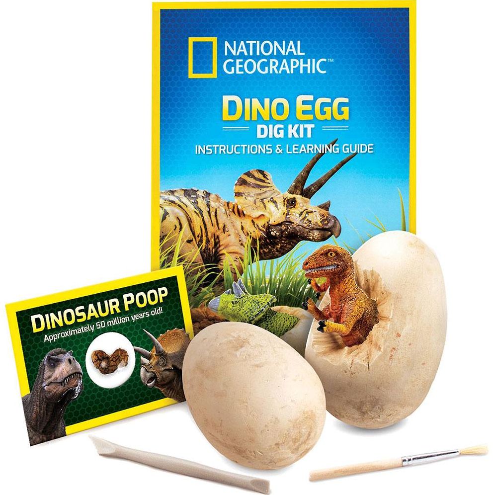 National Geographic Dino Egg Dig Kit - Image 8