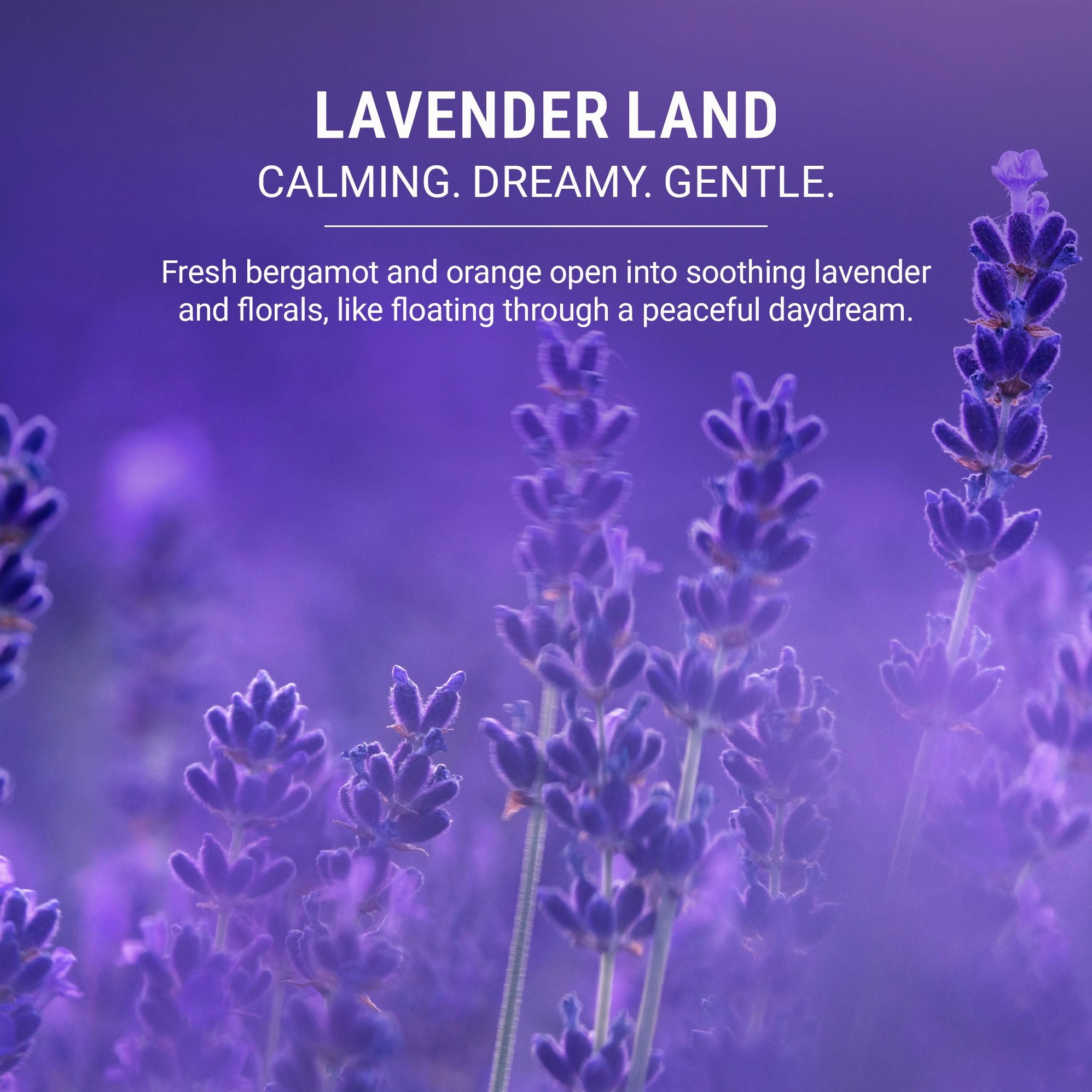 Vitamin C Shower Filter - Lavender Land - Image 4