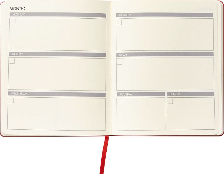 Orange Paper Wasp Undated Planner - Image 3