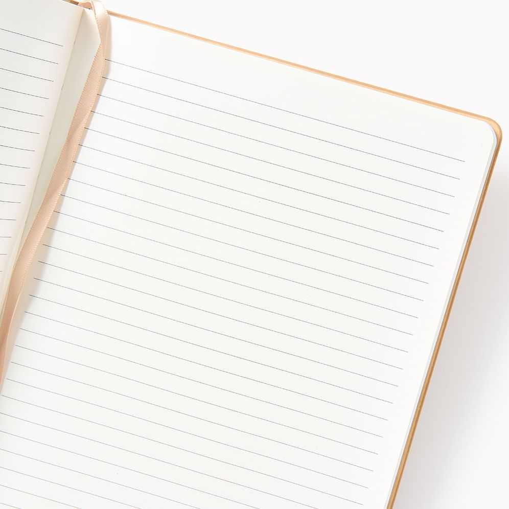 Sand Grid Paper Wasp LG Lined Journal - Image 2