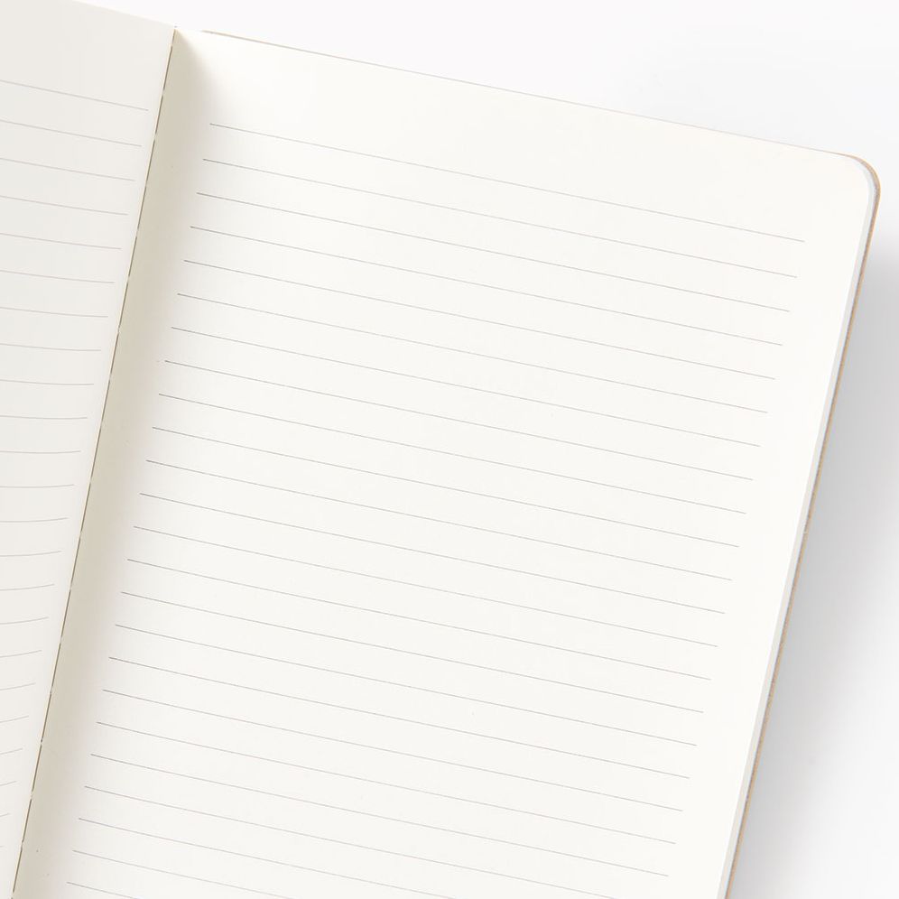 Teal Diamond Paper Wasp LG Lined Journal - Image 3