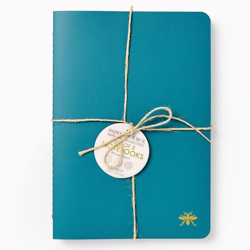 Teal Paper Wasp S/3 Notebooks - Image 2