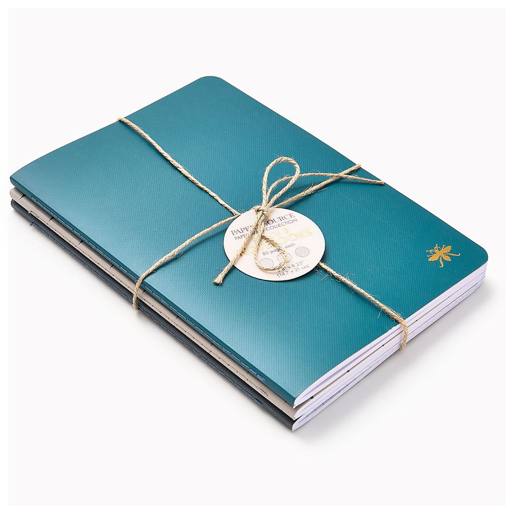 Teal Paper Wasp S/3 Notebooks - Image 3