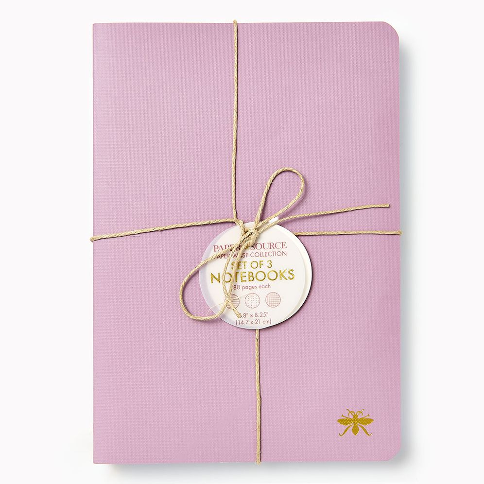 Wisteria Paper Wasp S/3 Notebooks - Image 3