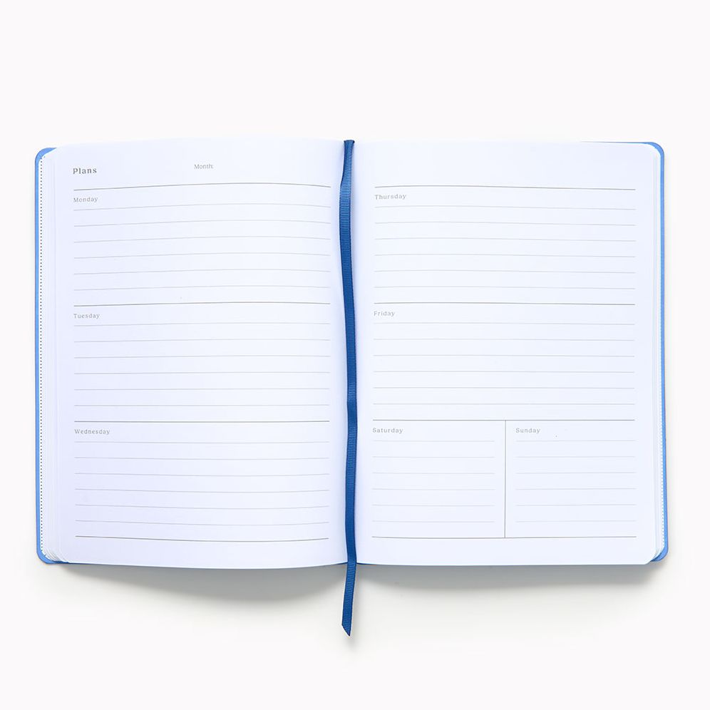 Periwinkle Paper Wasp Undated Planner LG - Image 3