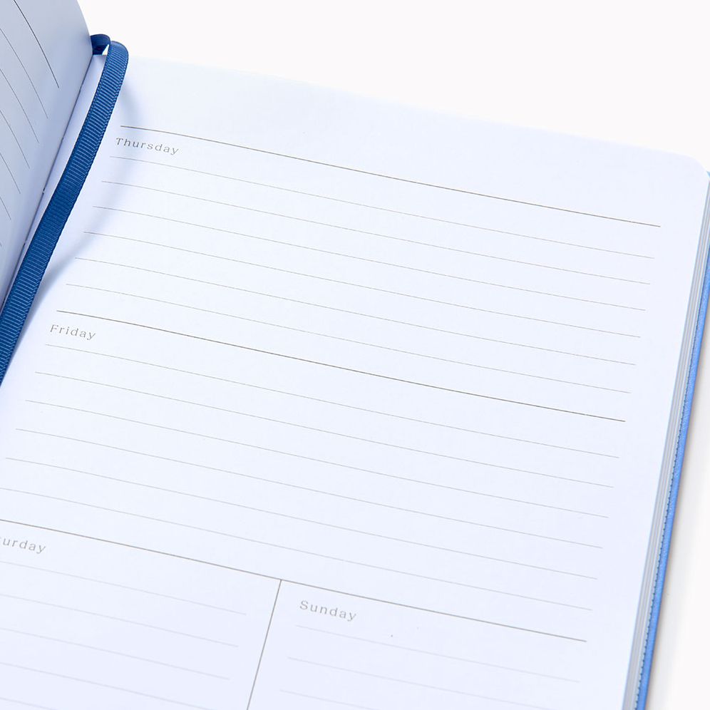 Periwinkle Paper Wasp Undated Planner LG - Image 4
