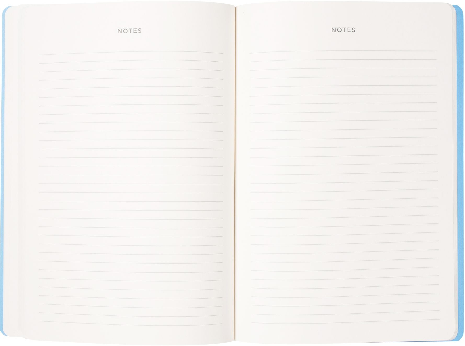 2026-2027 Painted Swans Monthly Desk Planner - Image 5
