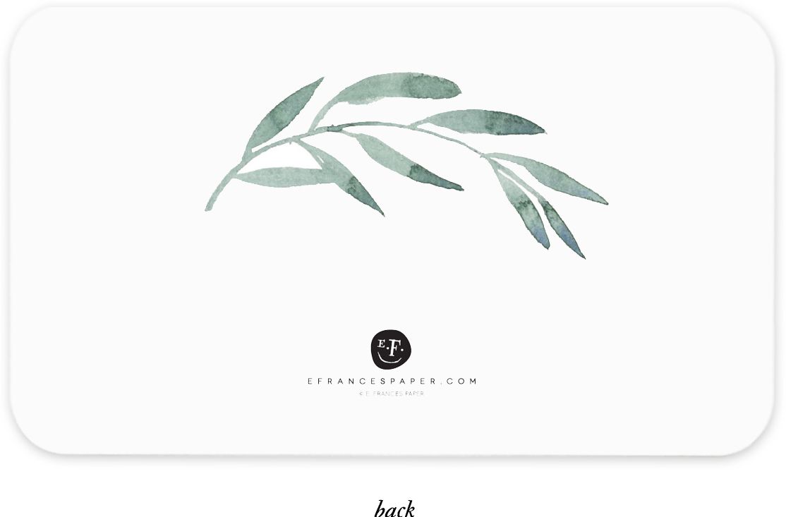 Olive Branch Little Notes® by E. Frances Paper - Image 3
