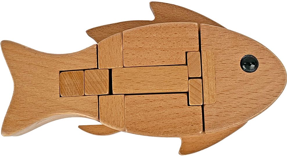 Fish Bait Brainteaser Puzzle - Image 2