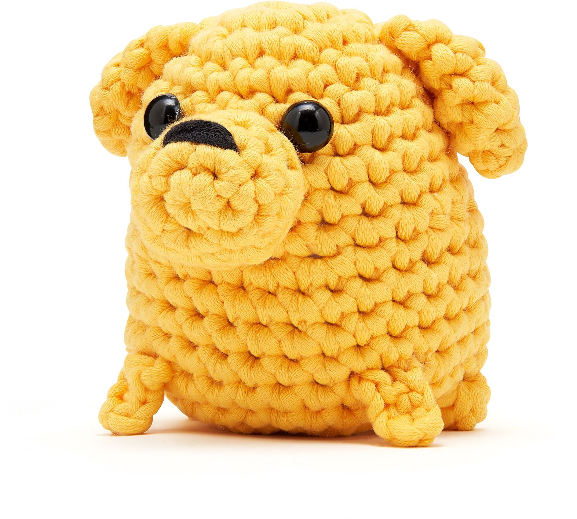 Buster the Labrador Learn to Crochet kit - Image 4