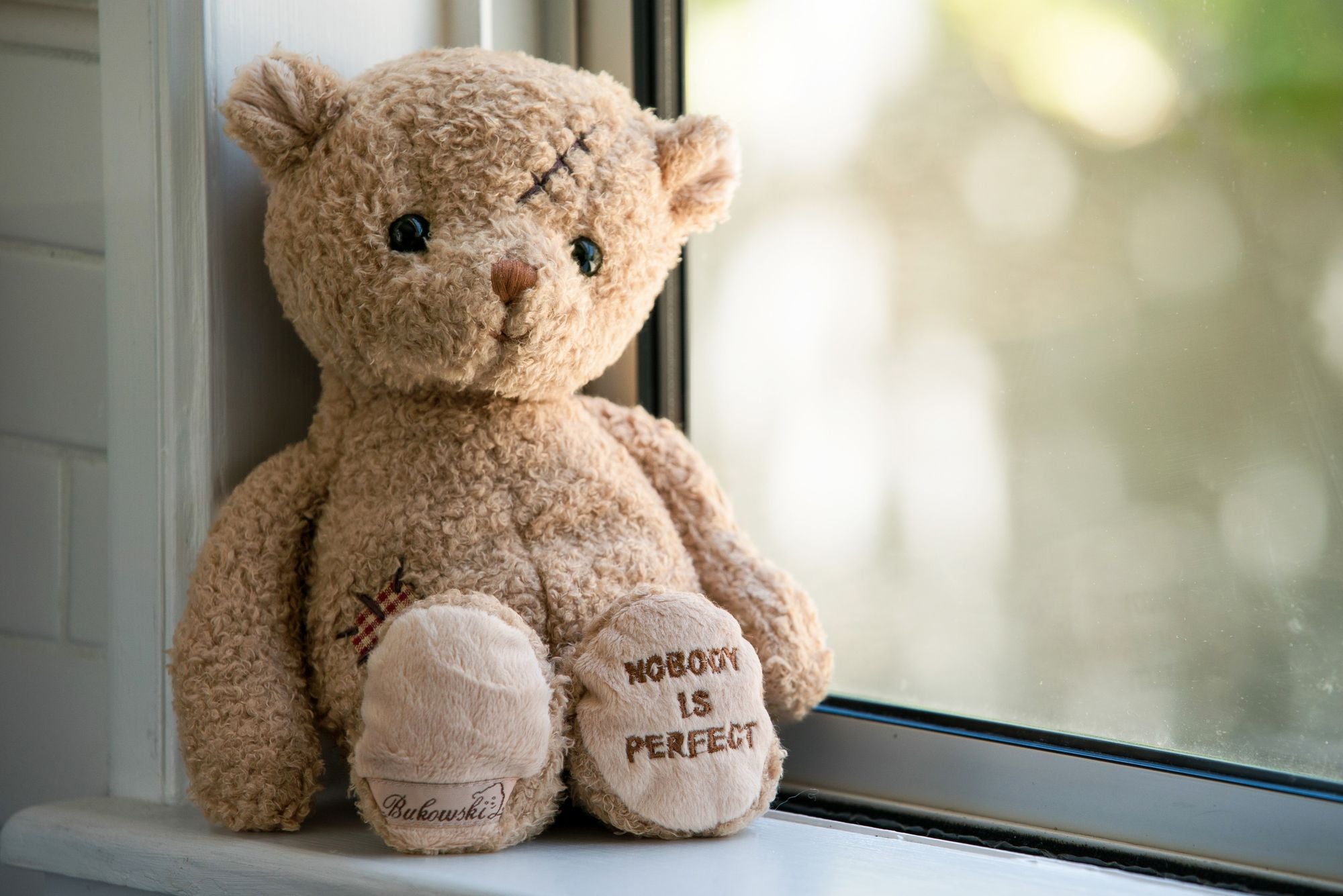 Nobody is Perfect Bear - Image 3