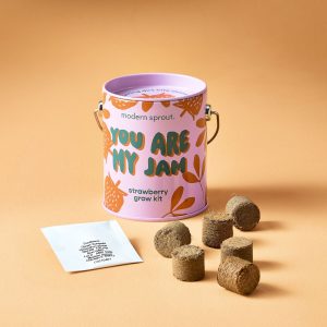 Complimentary Color Grow Kit - Strawberry