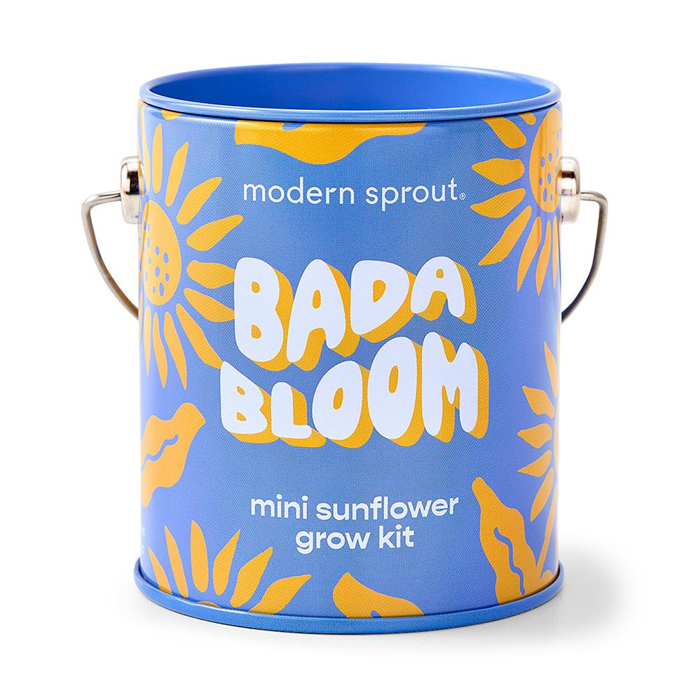 Complimentary Color Grow Kit - Sunflower - Image 2