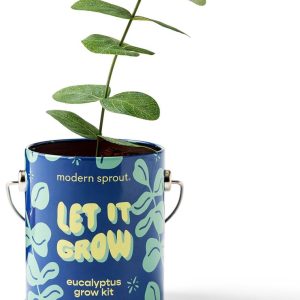 Complimentary Color Grow Kit - Let it Grow - Eucalyptus