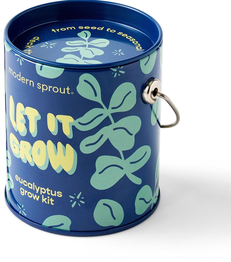 Complimentary Color Grow Kit - Let it Grow - Eucalyptus - Image 2