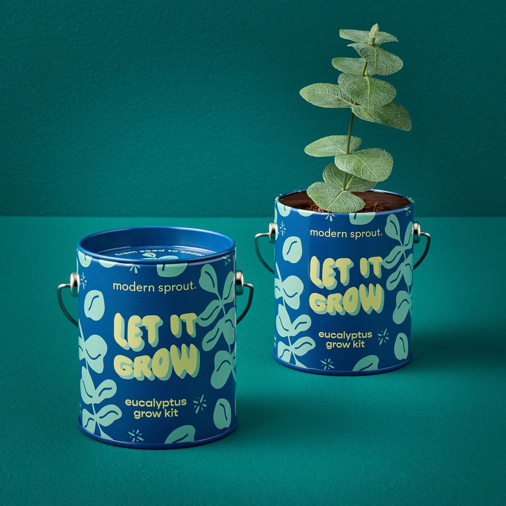 Complimentary Color Grow Kit - Let it Grow - Eucalyptus - Image 3