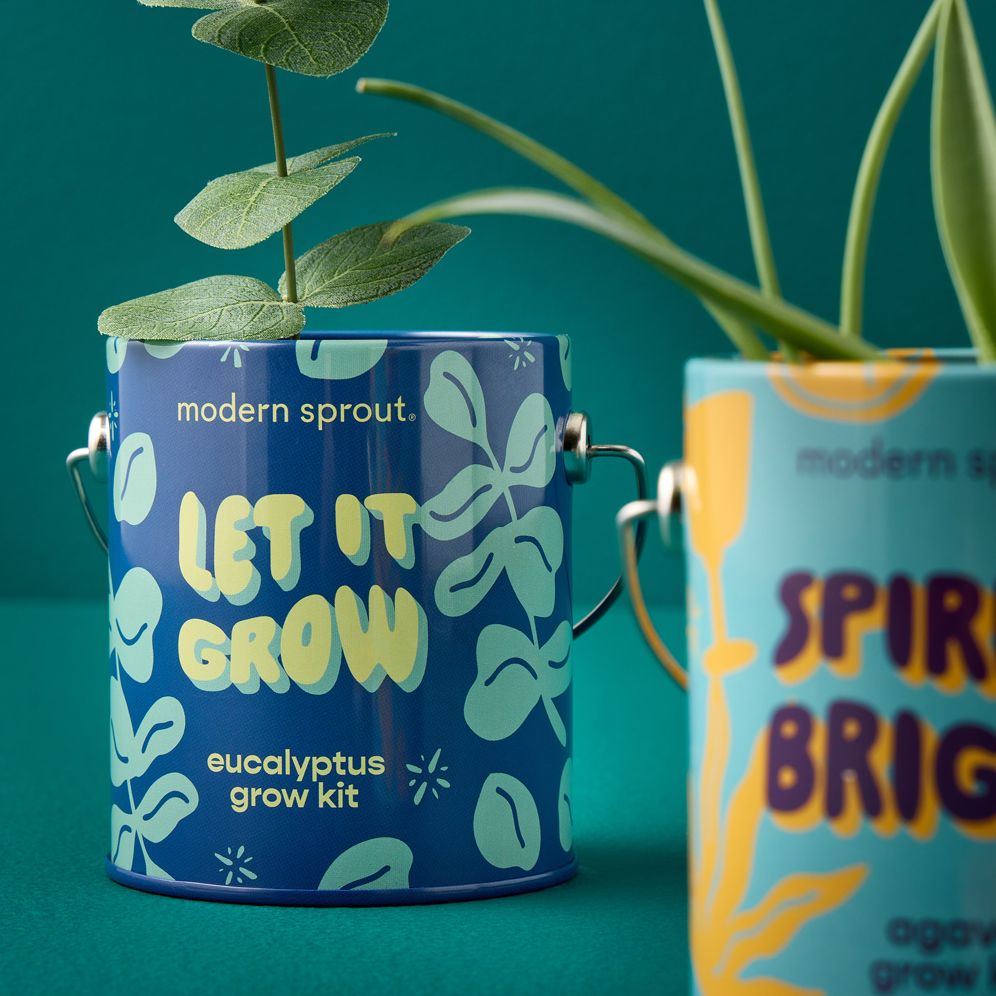 Complimentary Color Grow Kit - Let it Grow - Eucalyptus - Image 4