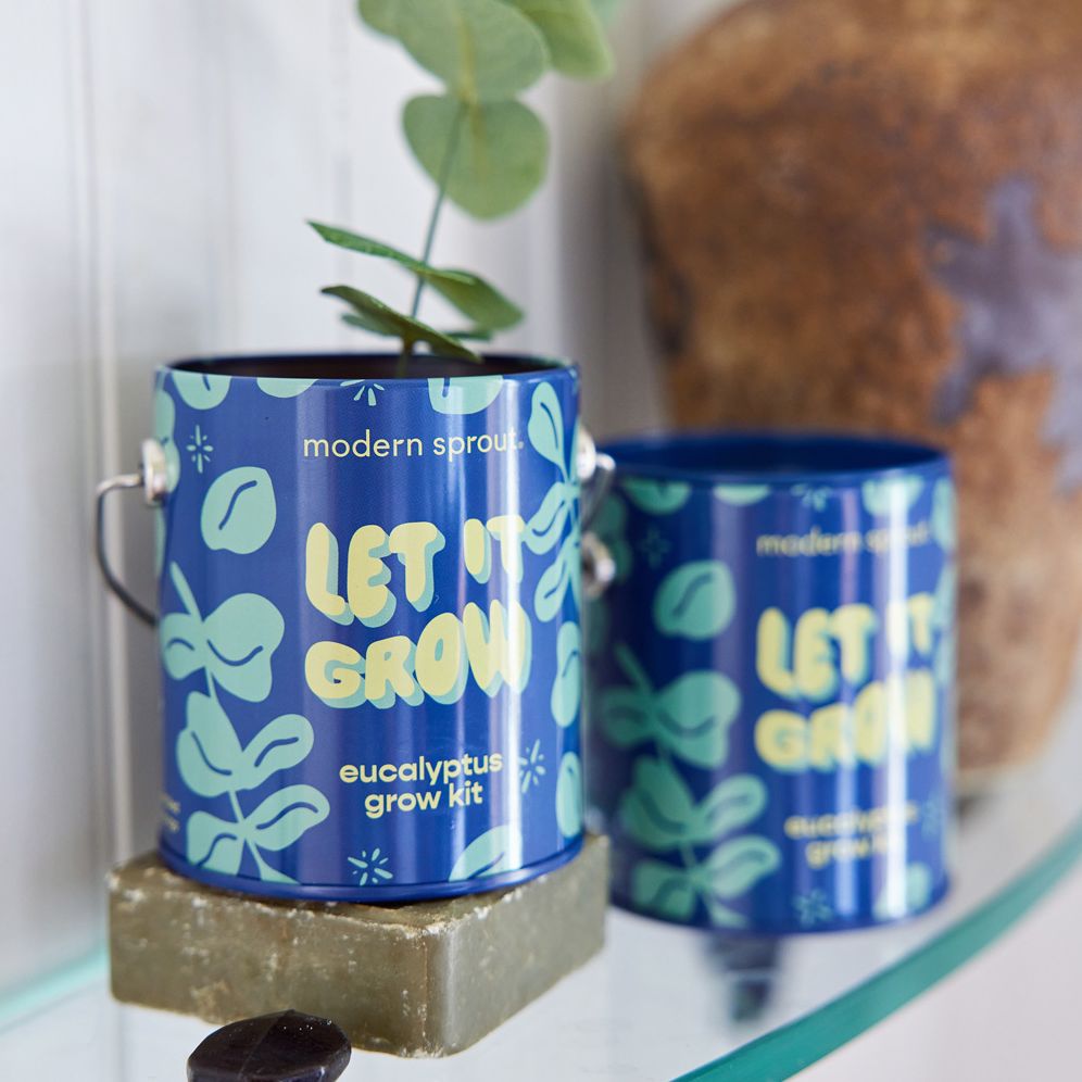 Complimentary Color Grow Kit - Let it Grow - Eucalyptus - Image 5
