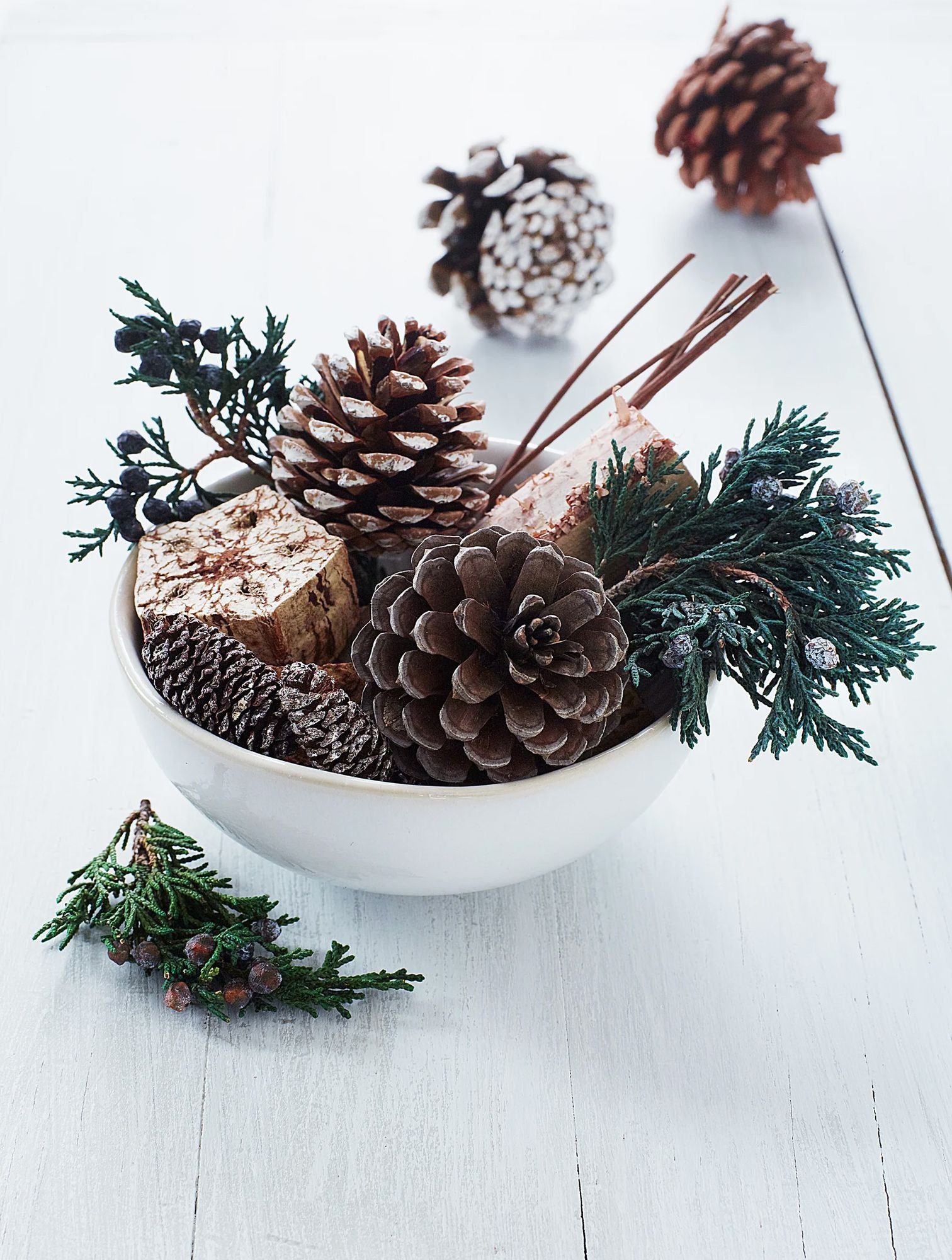 Roland Pine 12 oz Potpourri - Image 4