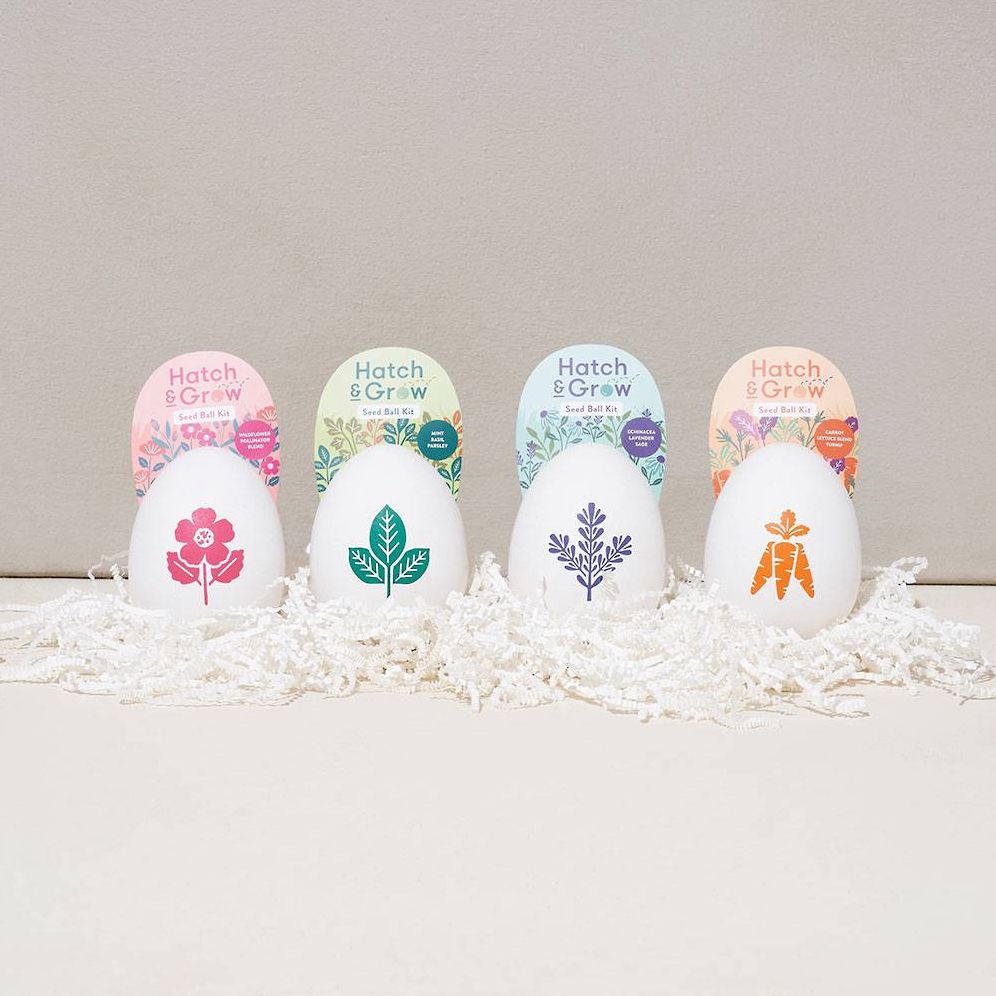 Egg Seed Kit - Image 2