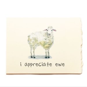 I Appreciate Ewe Friendship Card