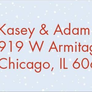 Skate Pond Holiday Return Address Label