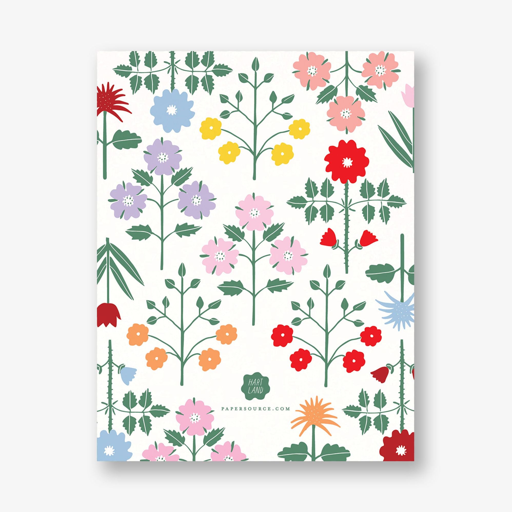 Betty's Garden Information Card - Image 2