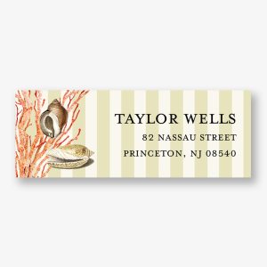 Tide Pool Return Address Label