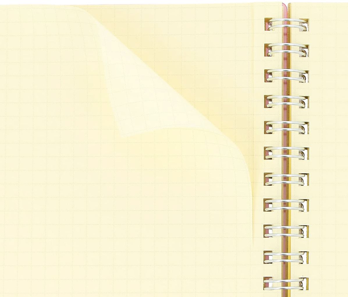 Delfonics CLEAR Blue Large Rollbahn Notebook - Image 2