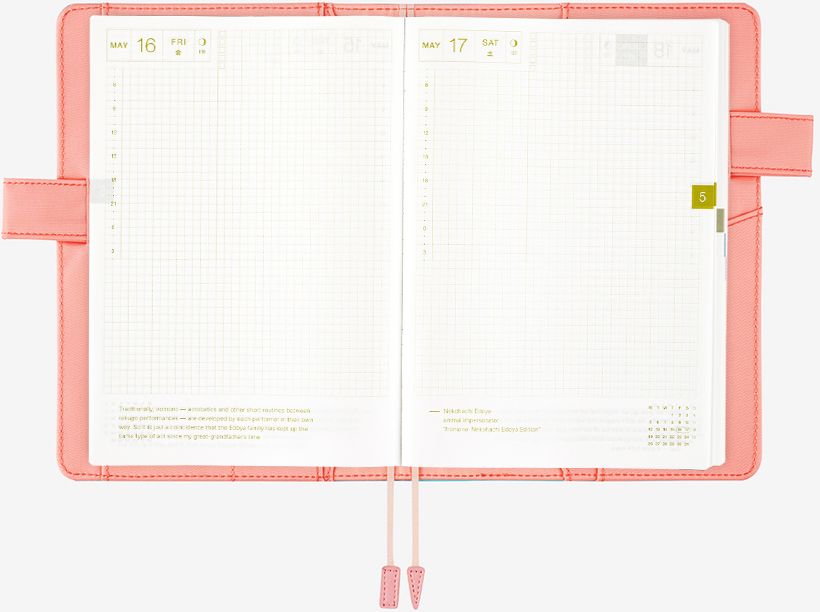 Hobonichi Techo Cousin A5 Cover in Dreamy Soda - Image 5