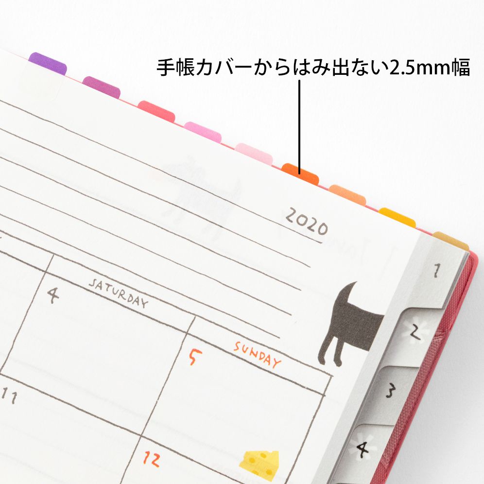 Midori Index Labels: Chiratto 24 Vivid Colors - Image 4