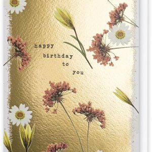 Pressed Daisies Birthday Card