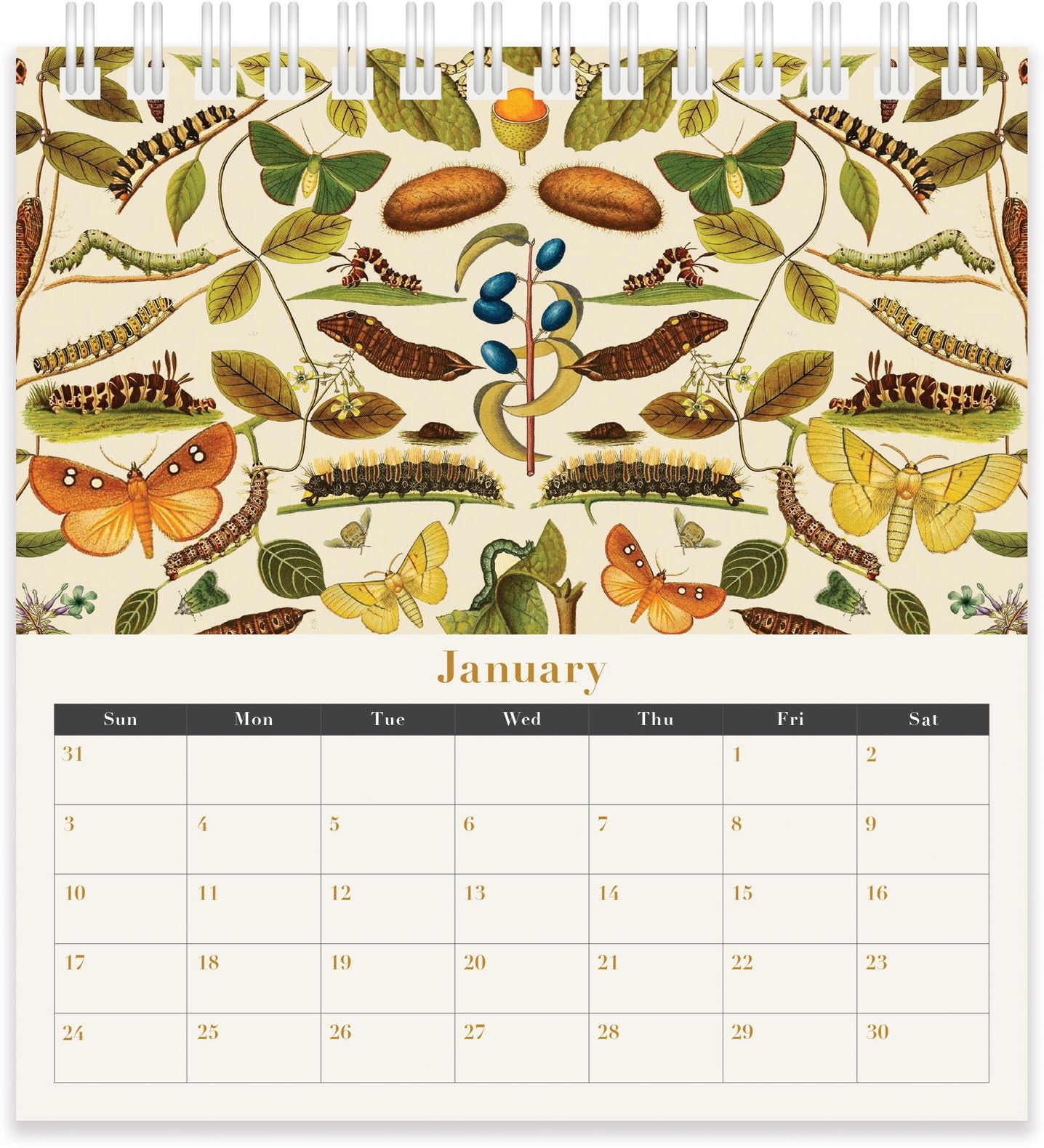 2027 Archive Desk Calendar - Image 3