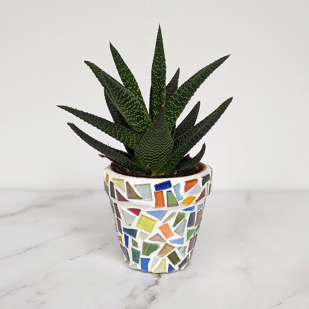 DIY Mosaic Planter Kit - Image 5