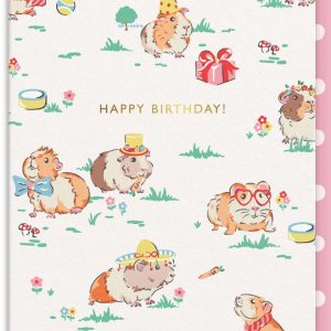 Guinea Pig Birthday Card