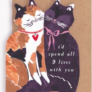 Nine Lives Birthday Card