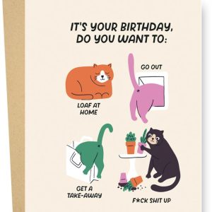 Cat Plans Birthday Card