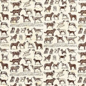 Dog Breeds Fine Paper