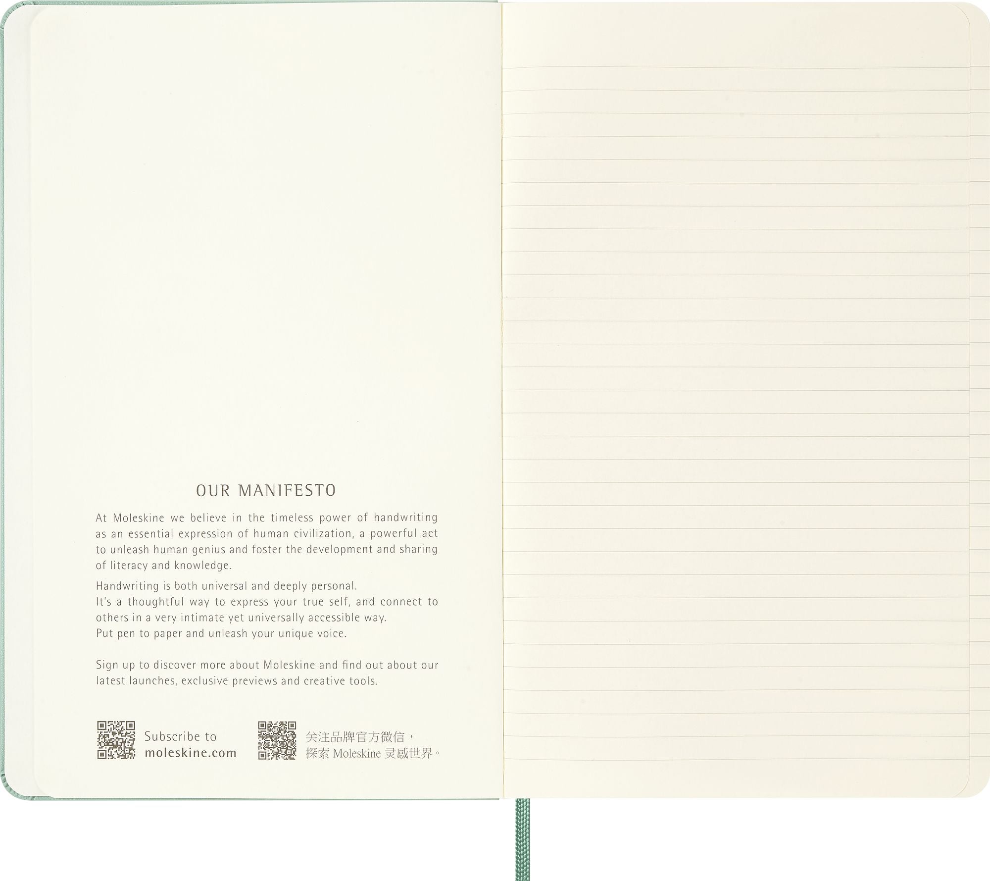Moleskine Colored Patterned Notebook. Hard Cover. Large (5 x 8.25) Ruled/Lined. Sage Green. 240 Pages - Image 3