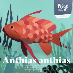 Swallow Sea Perch Fish - 3D Paper Figure - DIY Craft Kit