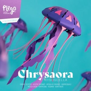 Compass Jellyfish - 3D Paper Figure - DIY Craft Kit