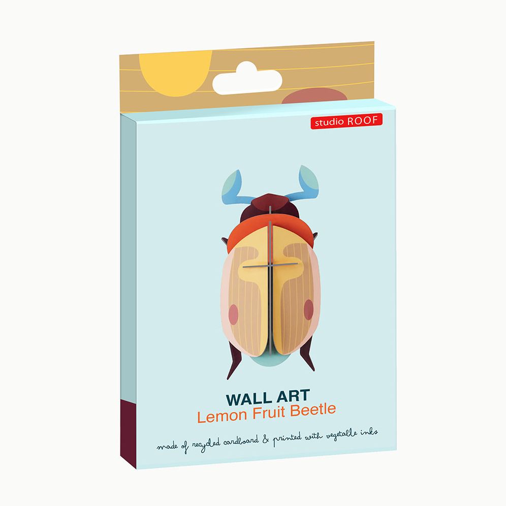 Lemon Fruit Beetle - Image 2