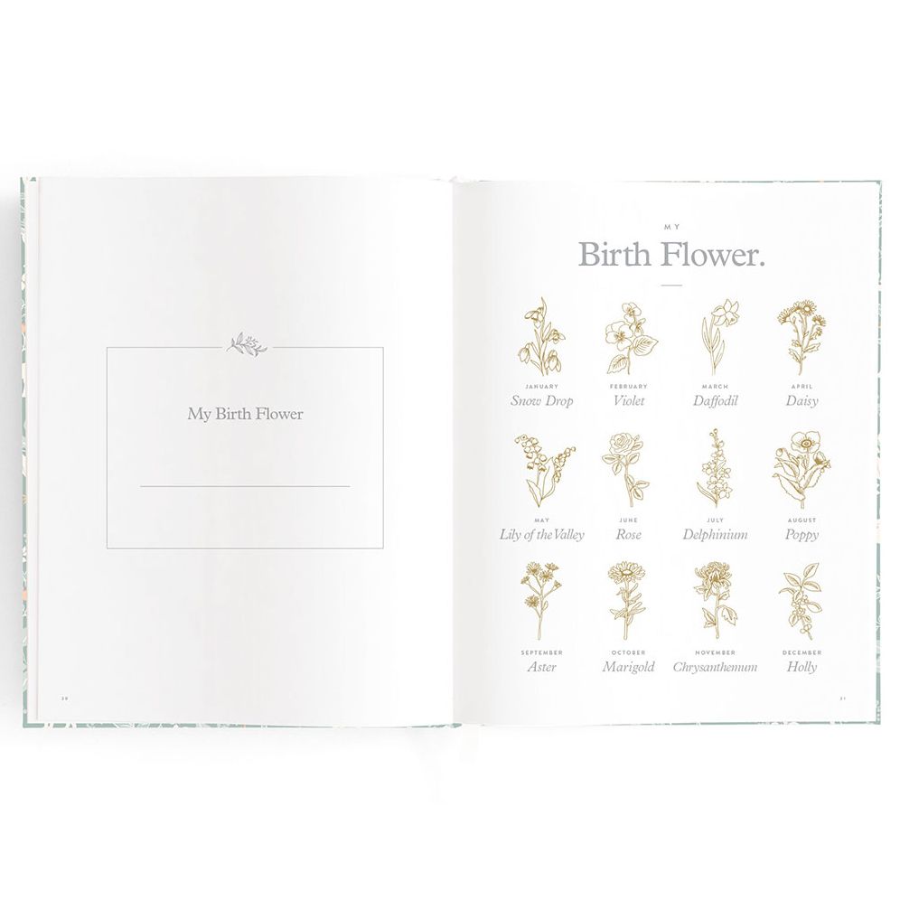 Baby Book Forest Friends Sage - Image 11